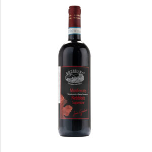 Monferrato Doc Nebbiolo Superiore 2019